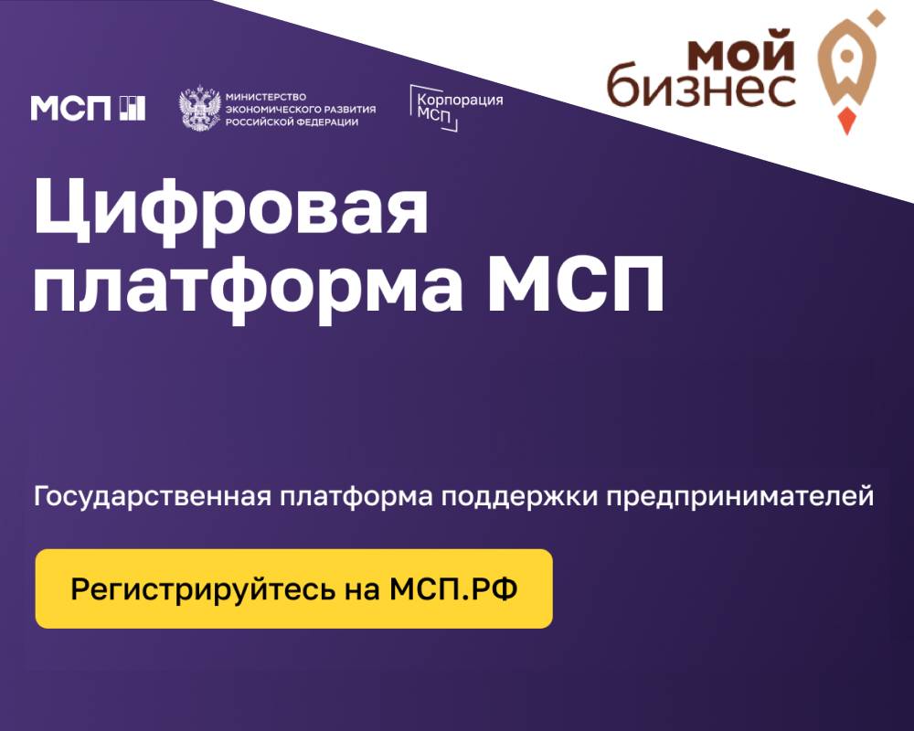 Цифровая платформа мсп федеральный проект